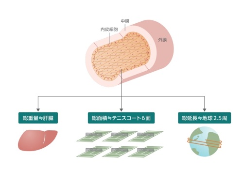 高血圧1.jpg