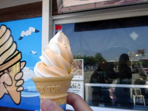 元の隅神社 (3).JPG