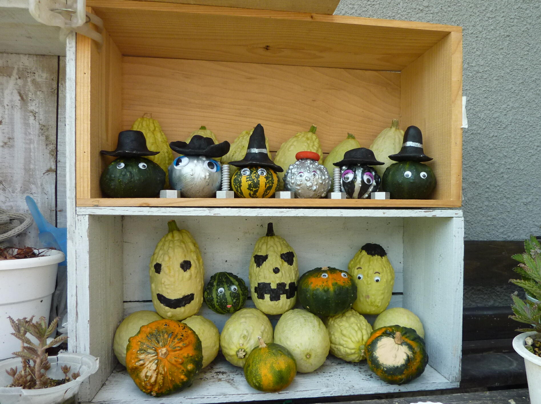 120902-kabotya-7.jpg