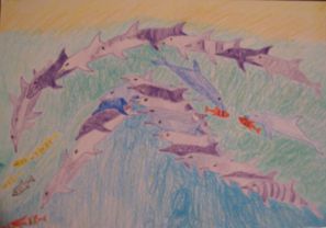 dolphin.jpg