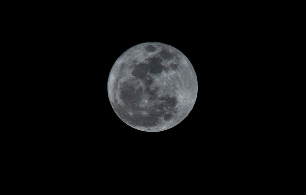 IMG_6956 (1024x654).jpg