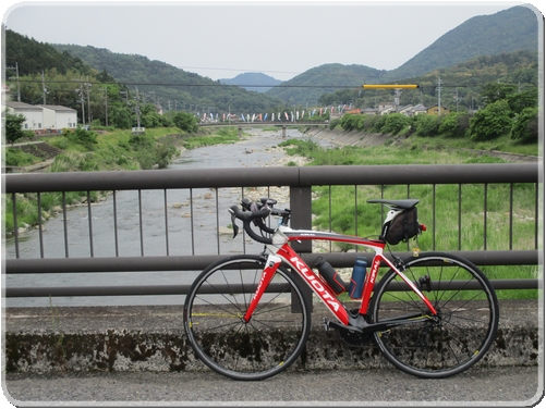 4023鯉のぼり（白木町付近）_4023.jpg