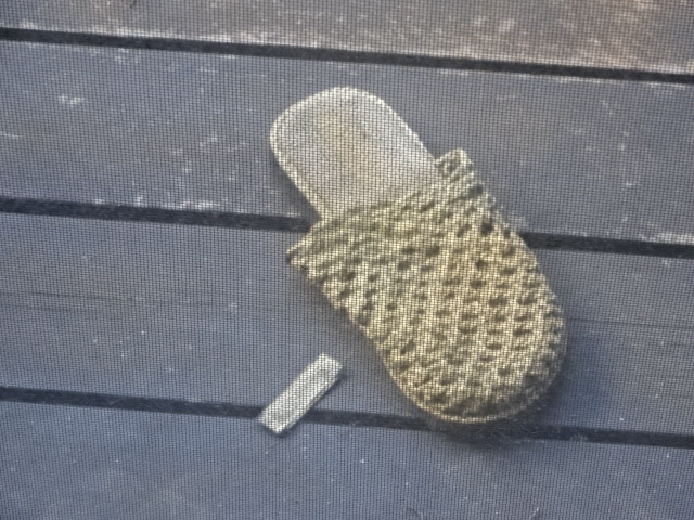 DSC07485.JPG