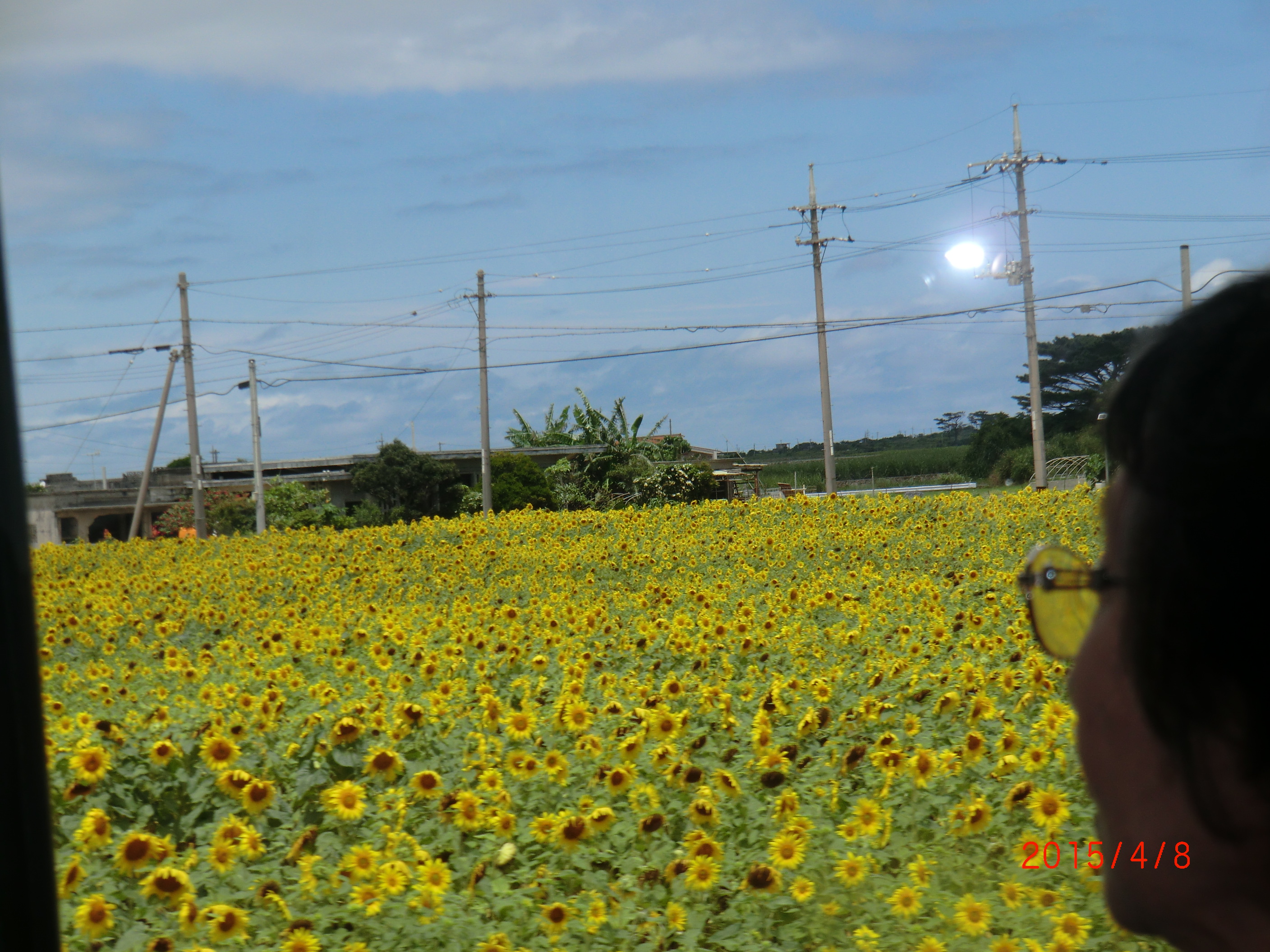 １５－４－７宮古島 155.JPG