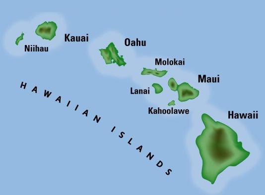 hawaiis.jpeg