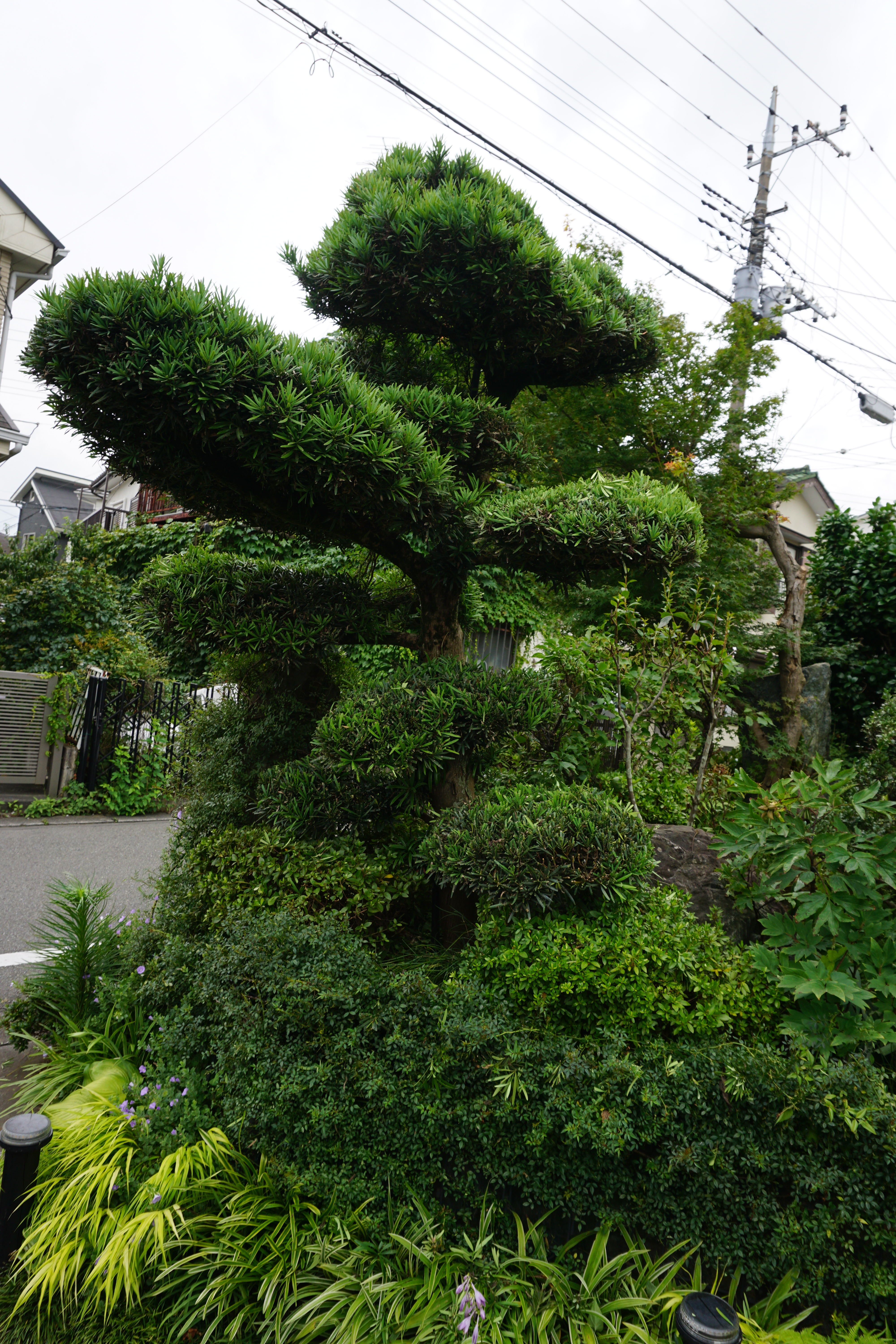 2023年7月2-3.JPG