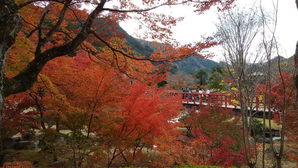 中津ダム渓石園 (20).jpg