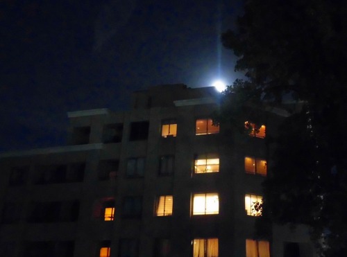 05 かぐや姫のお迎え.jpg