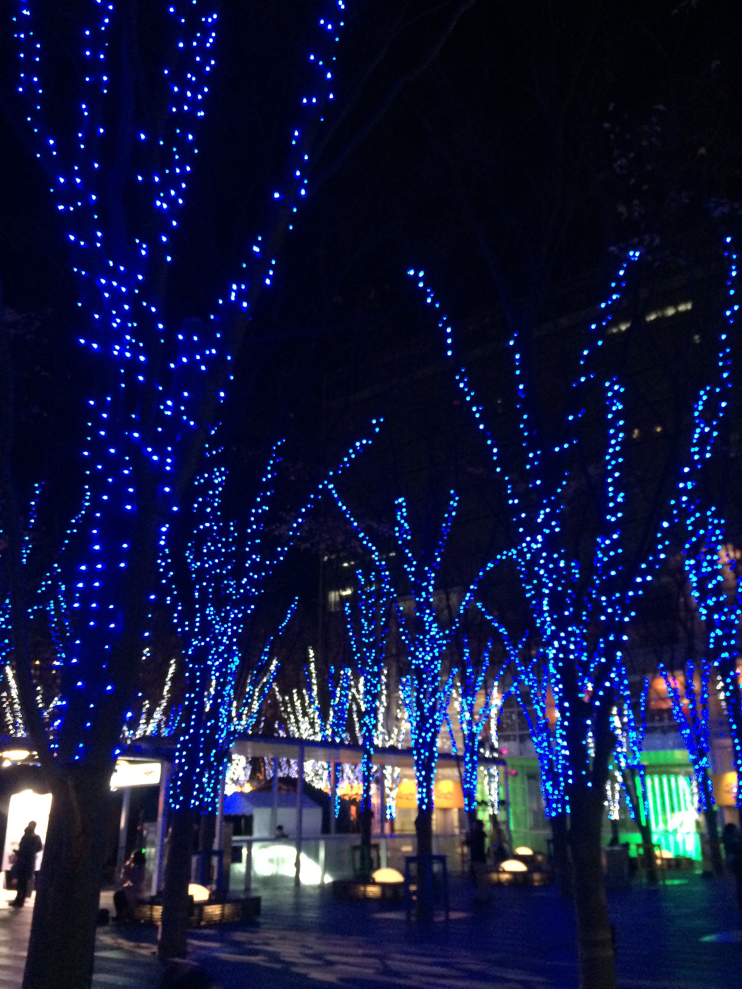 2014-12-14 17.42.02.jpg