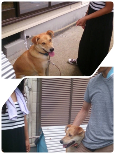 2014-08-06-05-54-51_deco (480x640).jpg