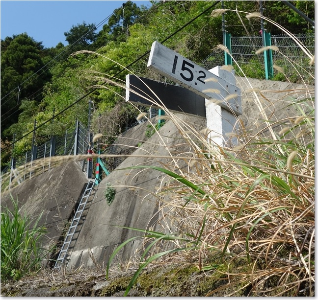 21線路も登ります