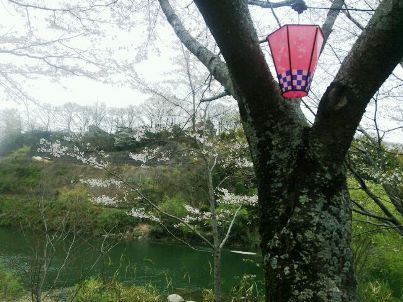 川も綺麗.JPG