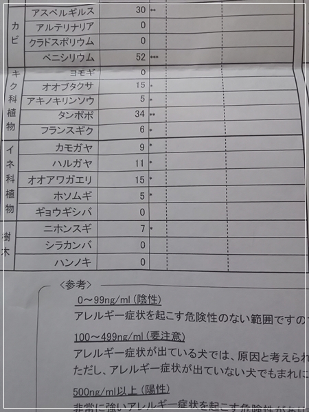 しお通院日 アレルギー検査結果 ちょびハウス 楽天ブログ