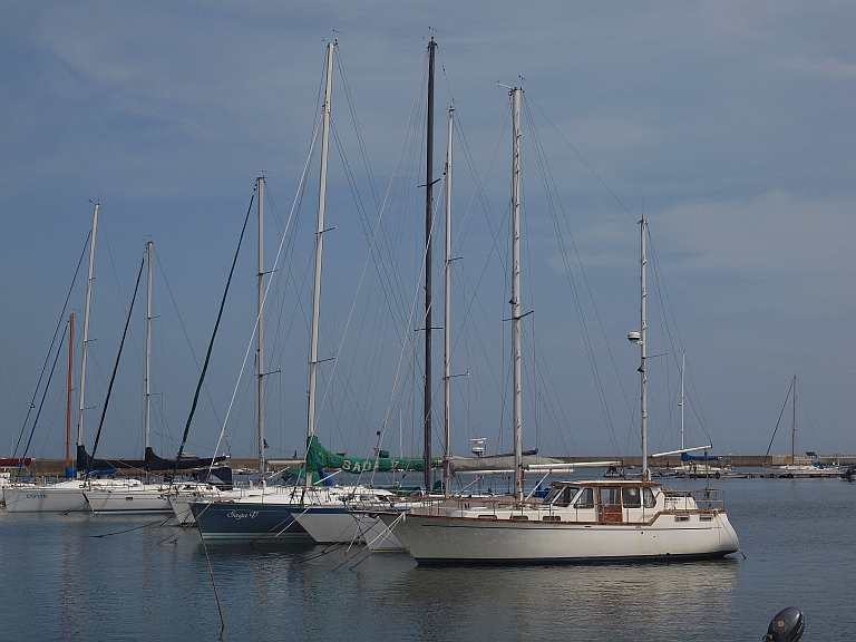 8.25七ヶ浜8-2.jpg