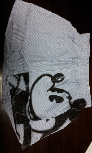 C:\fakepath\2012-11-12 06.34.16[1].jpg