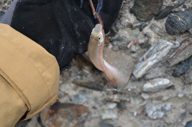 showPhoto (640×426)