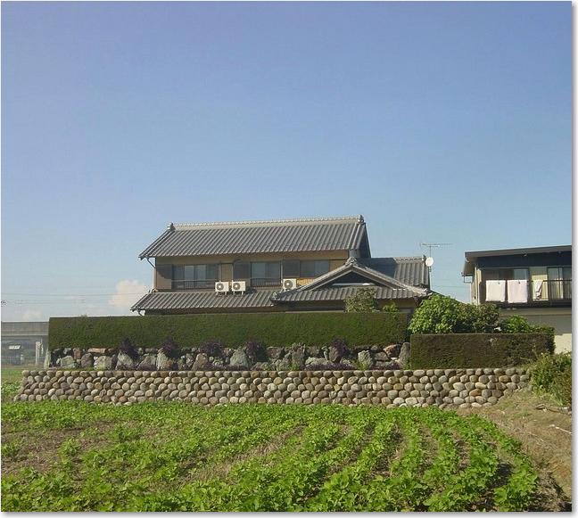 42石垣巨岩生垣