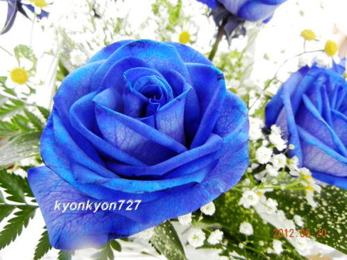 青い薔薇のアレンジメント2