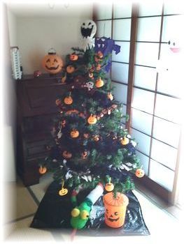 2012-10-31 11.24.15(V.2012_11_01__07_34_03).jpg