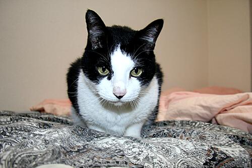 img_mimi_9307.jpg
