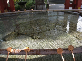 IMG_0425 (350x263).jpg