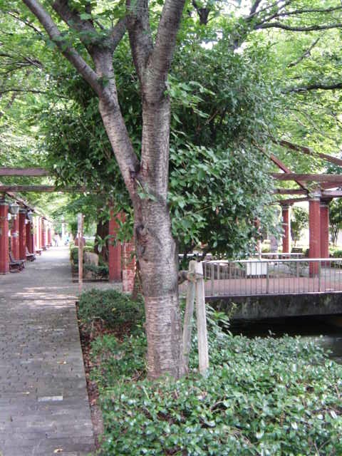 DSC09203.JPG