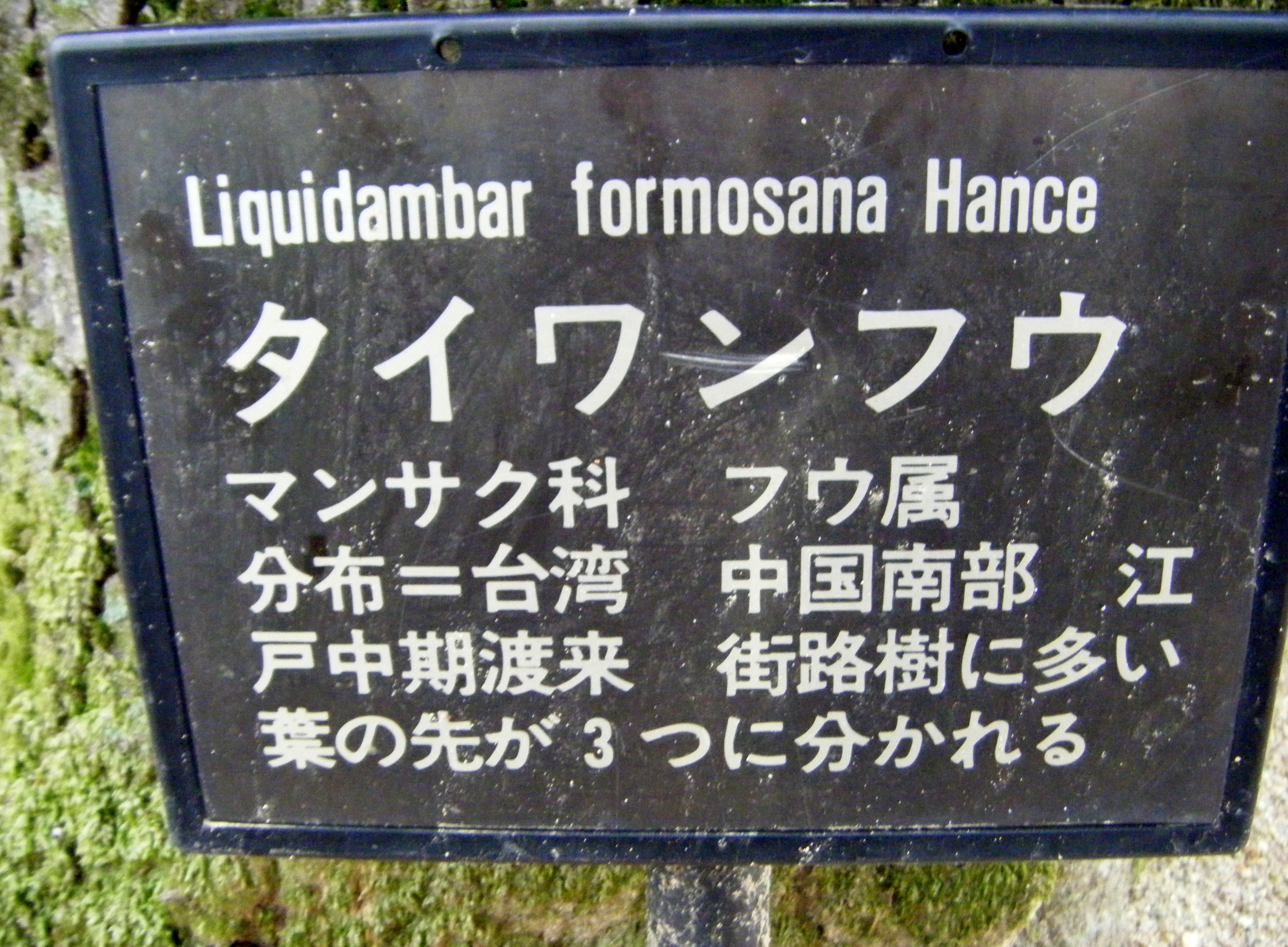 116.JPG