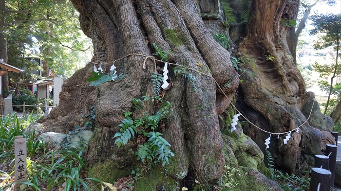 20151127 11061301.jpg