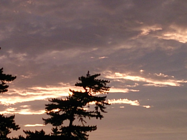 20150627  DSC_0004.jpg