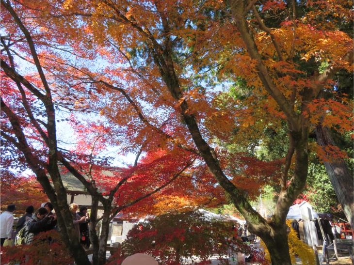 上賀茂神社 (36).jpg