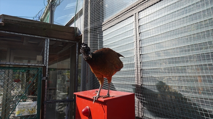 20160127 11131301.JPG