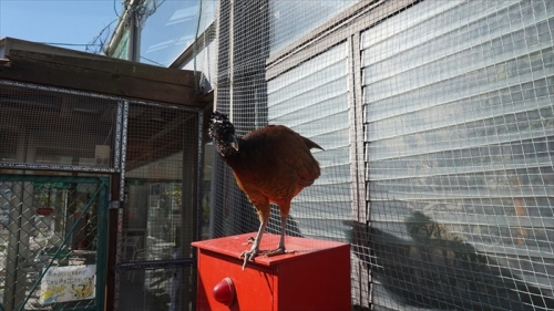 20160127 11131301.JPG