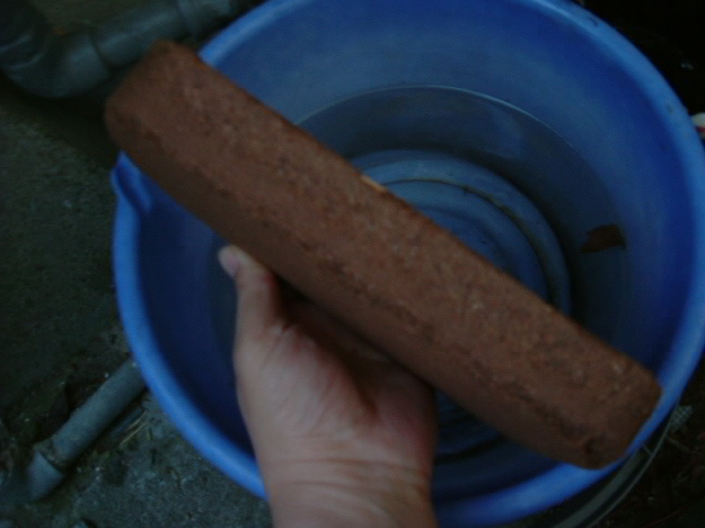 DSCF7572.JPG