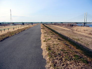 130203-20.jpg