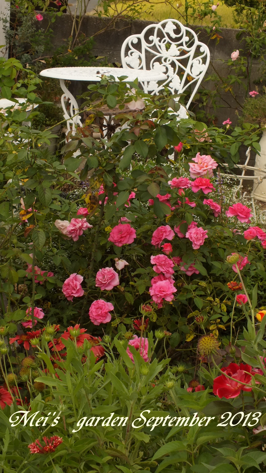 DSCF0353.JPG