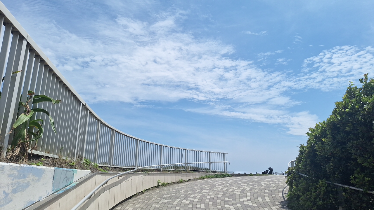 IMG_20250607_131738.jpg