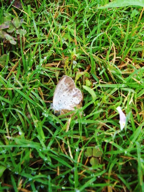 DSC09155.JPG