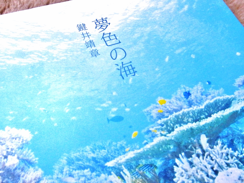 R0054792 (1024x768).jpg