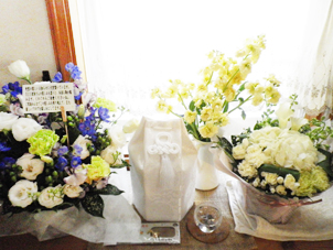 IMGP5365.JPG