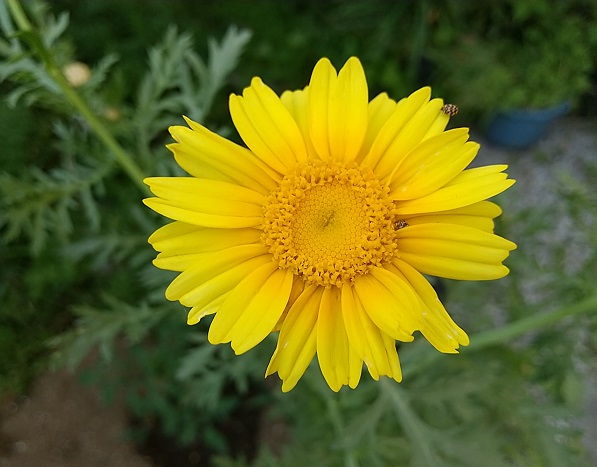 DSC_2345.JPG