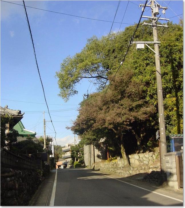 75街道をそれました