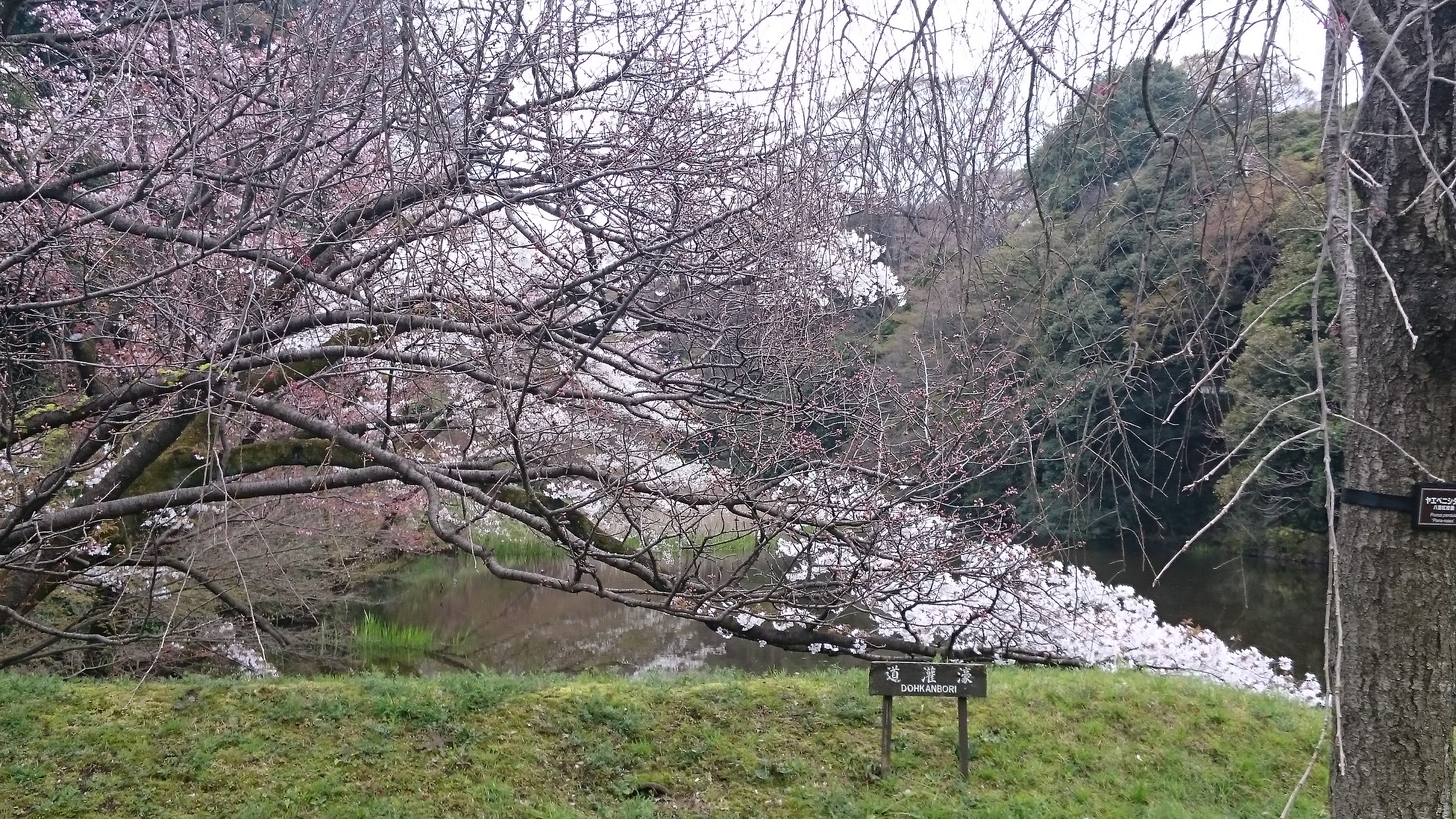 DSC_0360.JPG