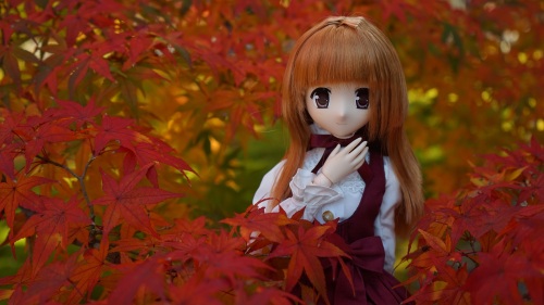 南禅寺　紅葉　 陽菜ちゃん2.jpg