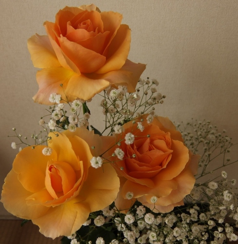 DSCF6820 (782x800).jpg