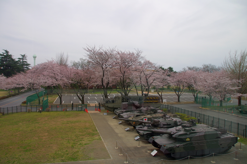 2016Sakura07.jpg