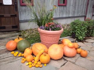 上野ファームNAYA cafe前0001.jpg