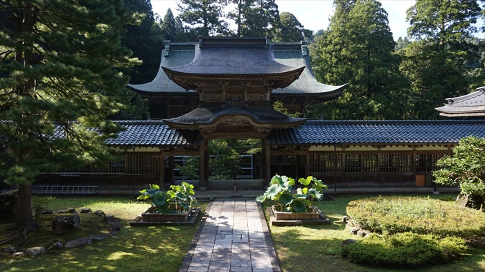 20150915 08481501.jpg