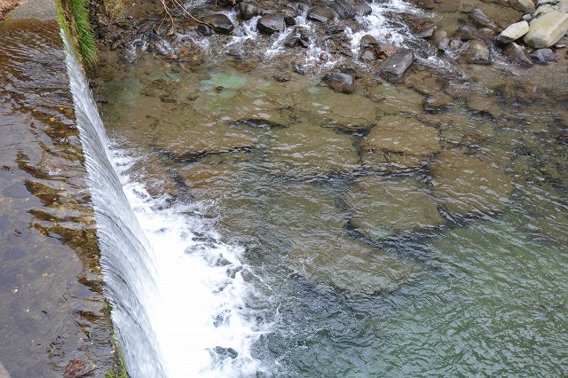 showPhoto (640×426)