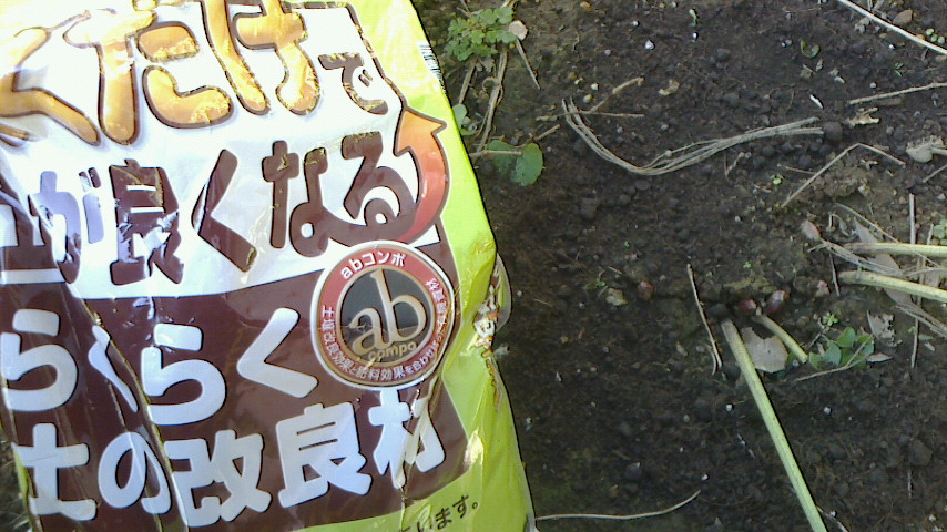 NEC_0676.JPG