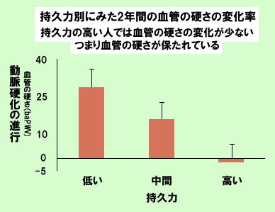 動脈硬化と持久力.jpg